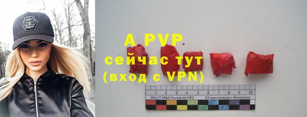 СК Ладушкин