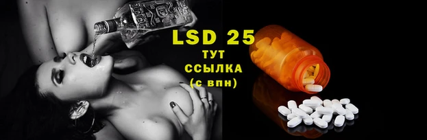 mdma Лагань