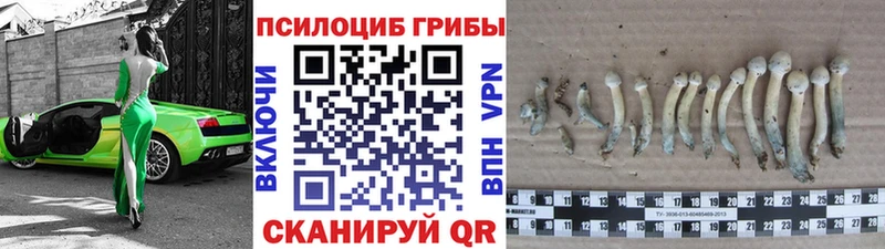 Галлюциногенные грибы Magic Shrooms  Холм 